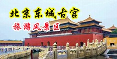 肏逼啊啊啊中国北京-东城古宫旅游风景区